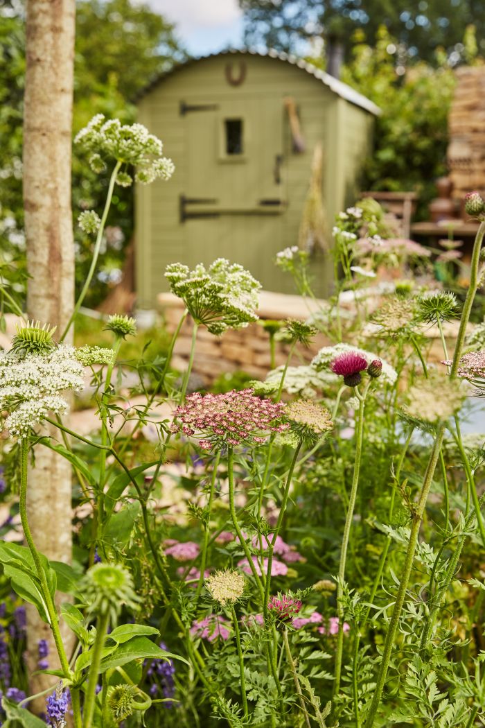 RHS Hampton Court Show Garden by Pollyanna Wilkinson