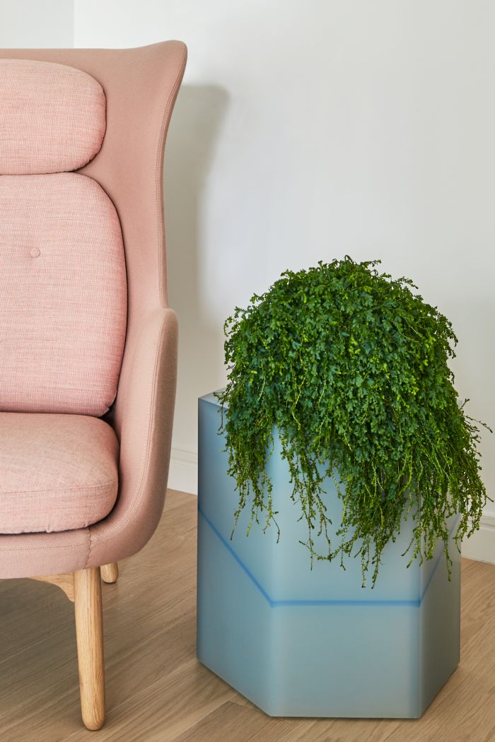 A resin sidetable by fracture studio and an armchair in pink by Fritz Hansen. 